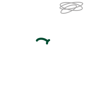 Dgisland Mascot